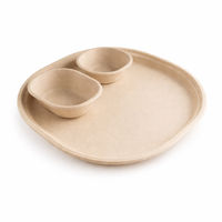 Sugarcane Bagasse Products